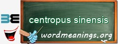 WordMeaning blackboard for centropus sinensis